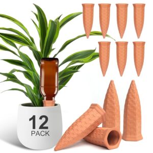 Plant Watering Stakes