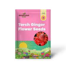 Torch Ginger Flower Seeds