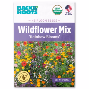 Wildflower Seed Mix